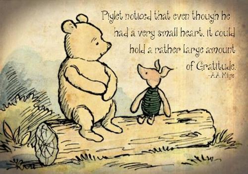 gratitude 