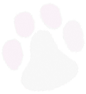 Cold Spring Elementary School Logo